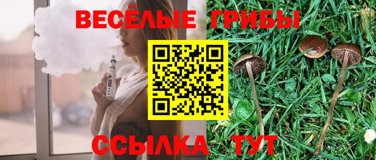 Галлюциногенные грибы Psilocybe  Вход с VPN  Чайковский 